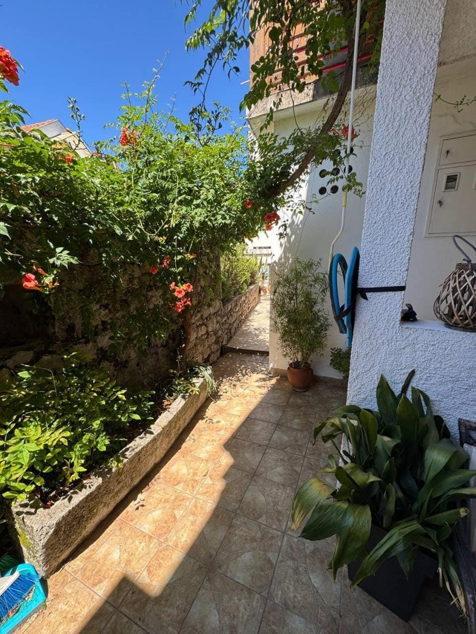 pavicevic montehn Apartment in Dubrovnik-Neretva County