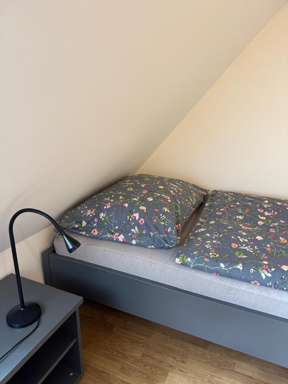 Apartmány Růžová Apartment in Sächsische Schweiz-Osterzgebirge