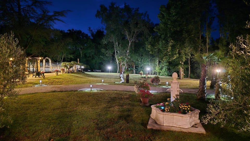 Night, Garden, Garden