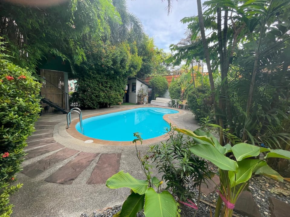 Day, Garden, Garden, Garden view, Pool view, Swimming pool, Swimming pool