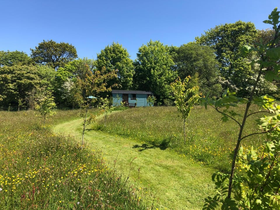 Wild Meadow Camping Campground/ 
RV Resort in Penbryn