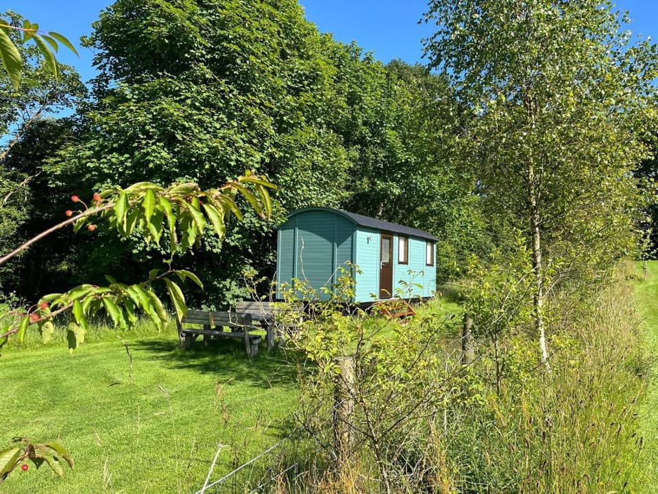 Wild Meadow Camping Campground/ 
RV Resort in Penbryn