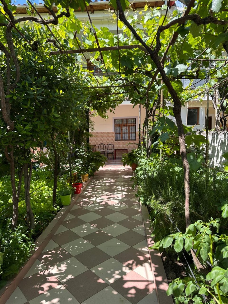 Property building, Spring, Day, Garden, Garden, Garden view