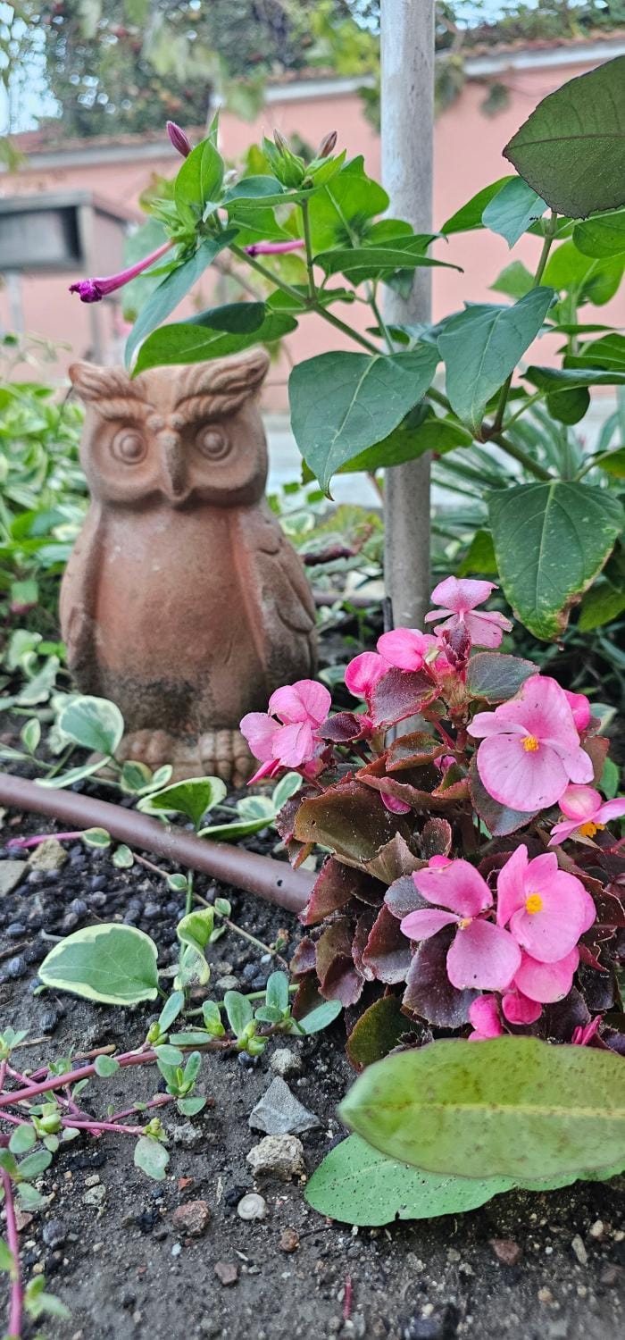 Garden, Garden