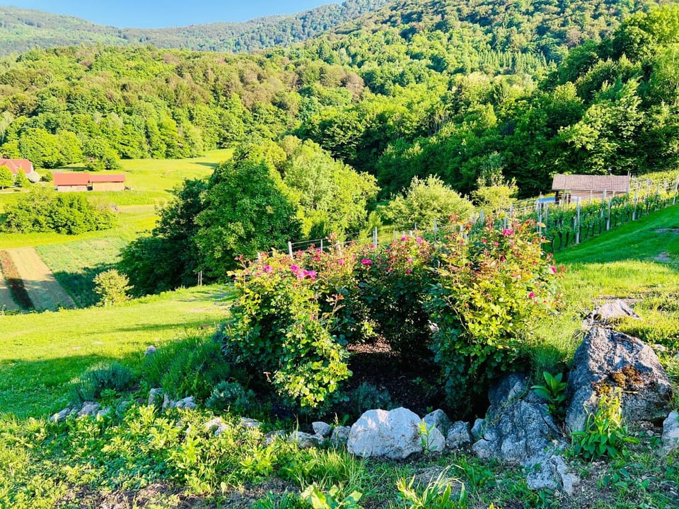 Natural landscape
