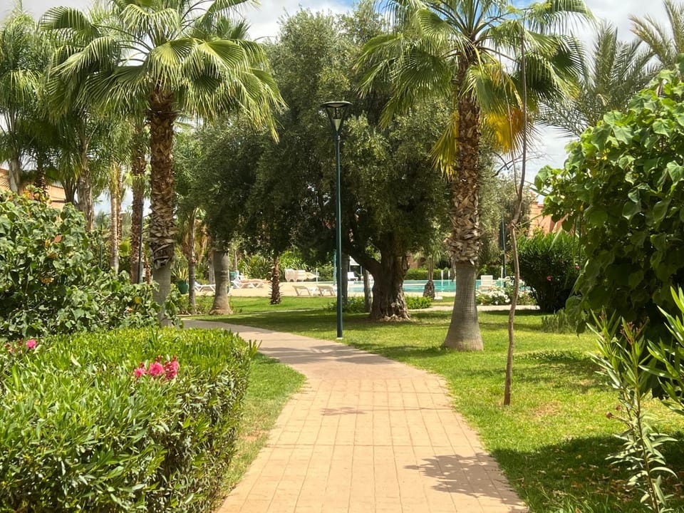 Natural landscape