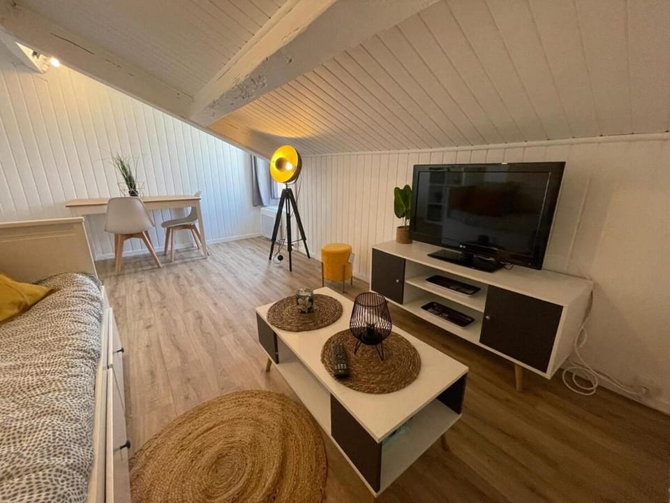 Studio Cosy, Proche de la gare, Centre Ville Apartment in Valence