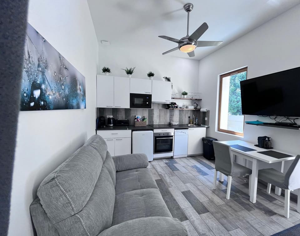 Communal lounge/ TV room, TV and multimedia, Kitchen or kitchenette, Living room, Seating area, Dining area, oven, stove