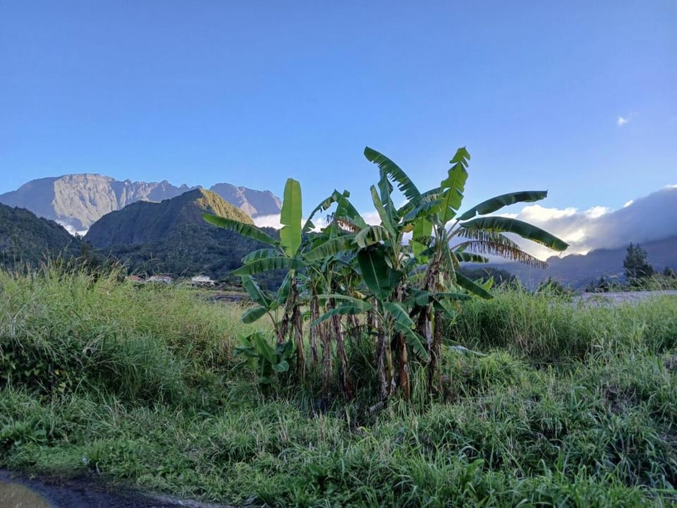Expédit Horizon Apartment in Réunion