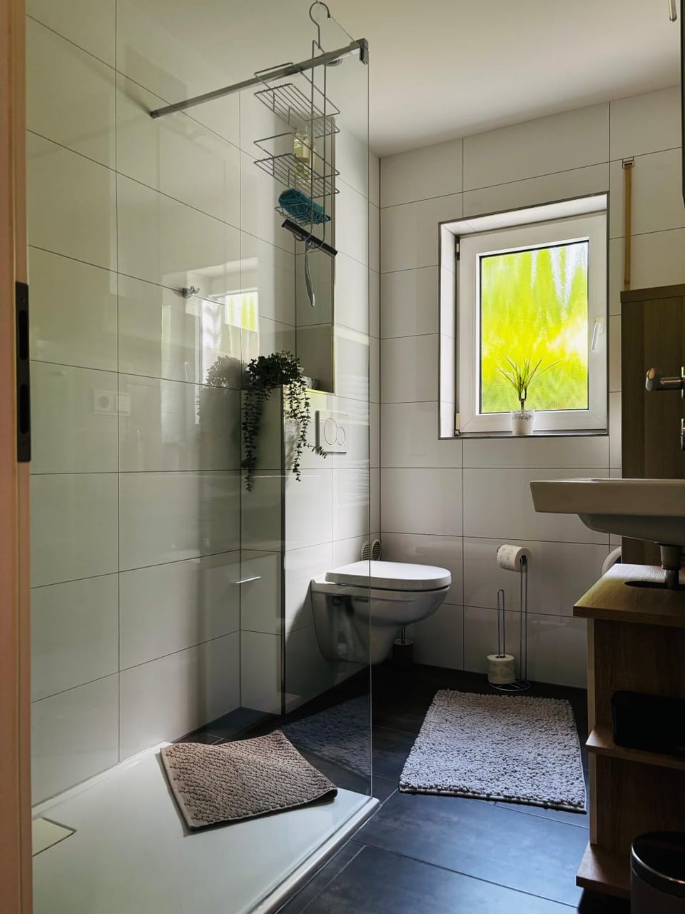 Shower, Toilet, Bathroom, towels