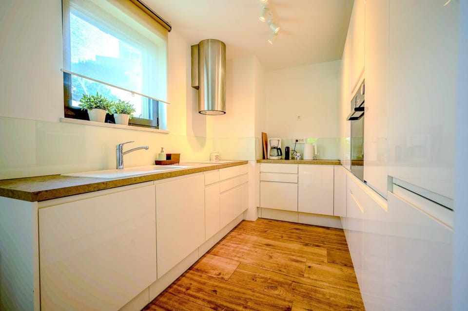 Kitchen or kitchenette, dishwasher