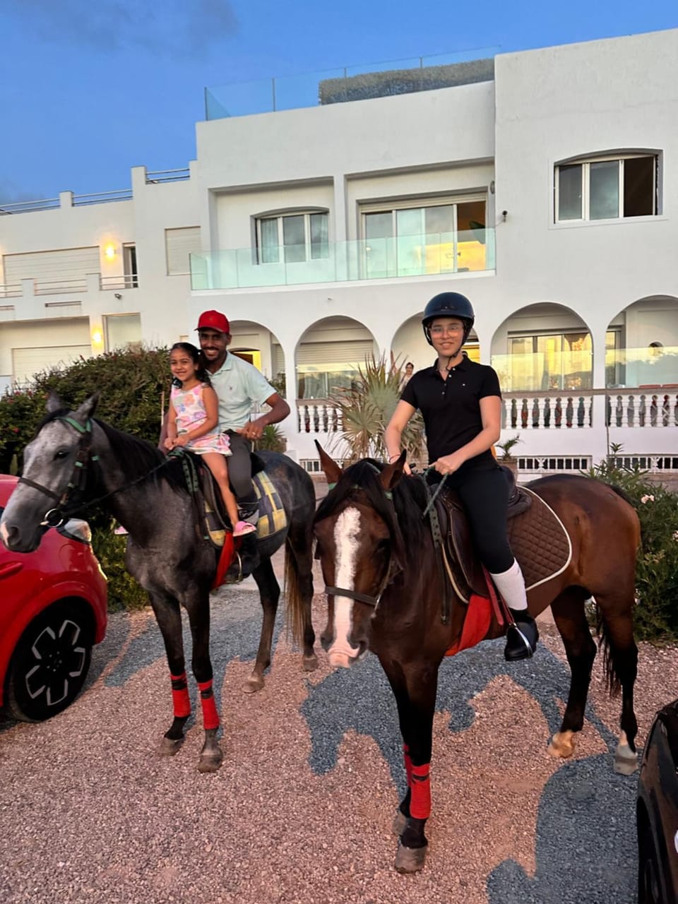 People, Horse-riding, Animals, children, group of guests