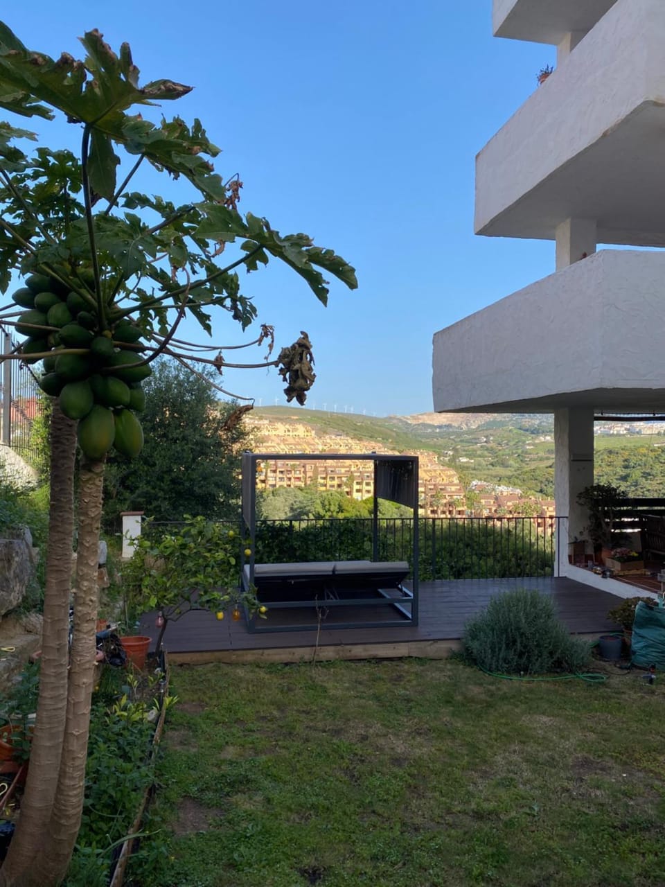 Garden, Garden, Garden view, Garden view