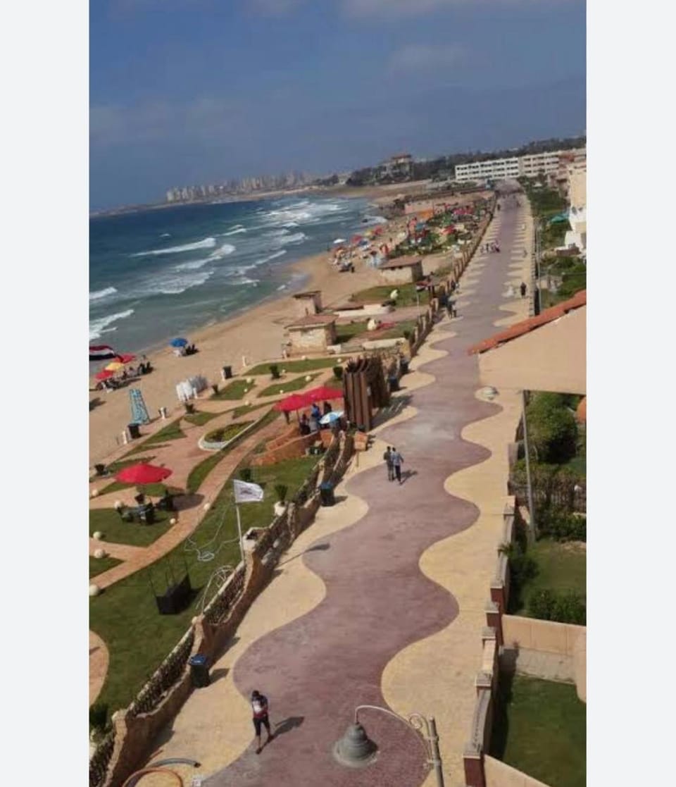 Apartment Apartment in Alexandria