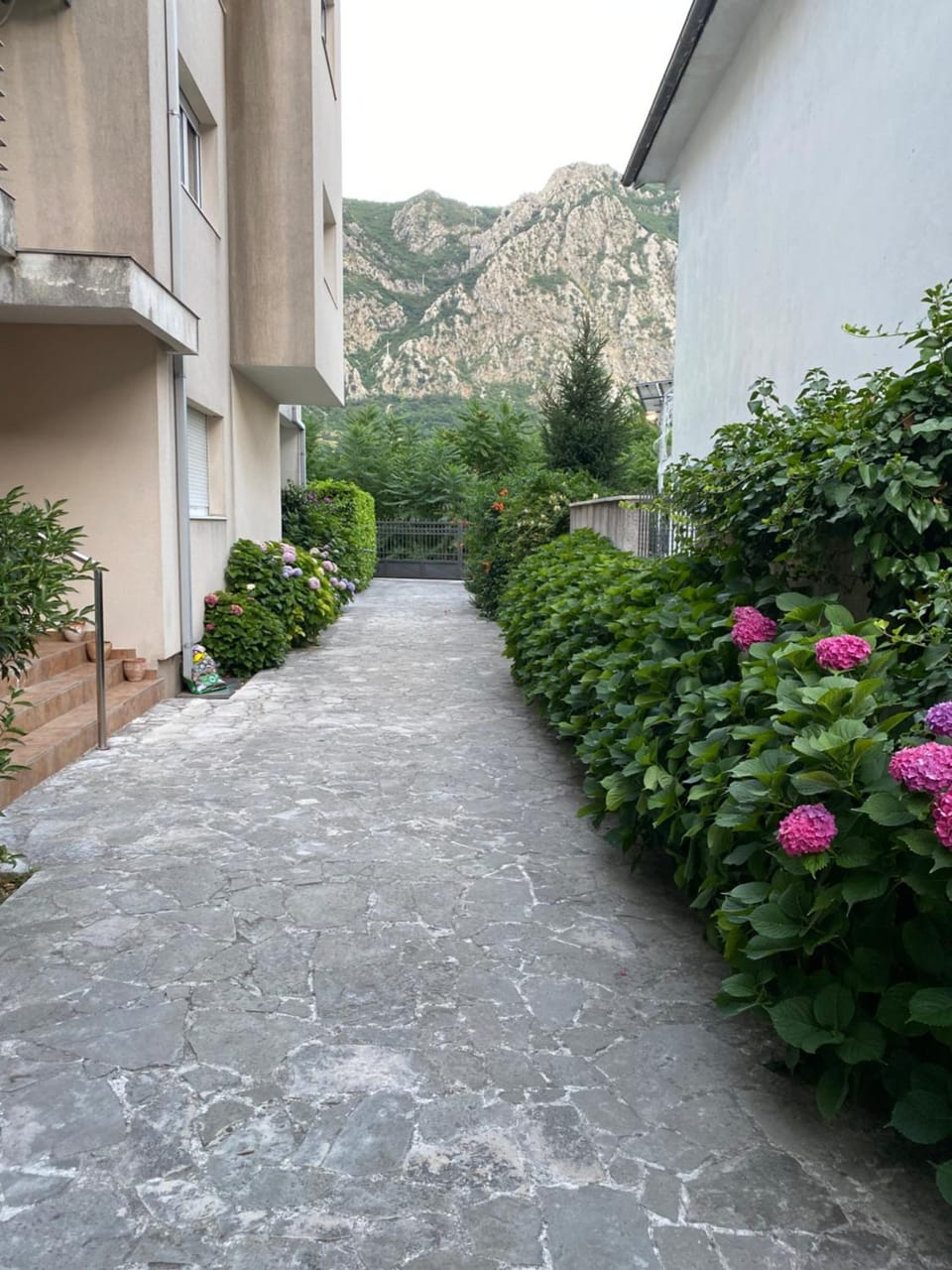 Friends Apartment in Kotor Municipality