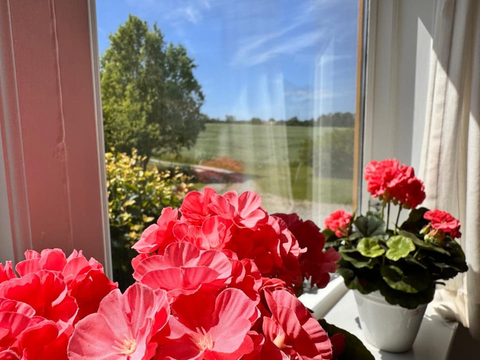 Fynshav House in Augustenborg