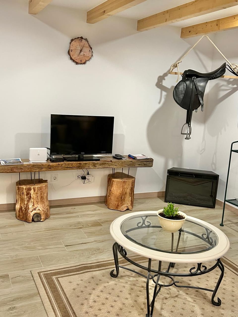 TV and multimedia