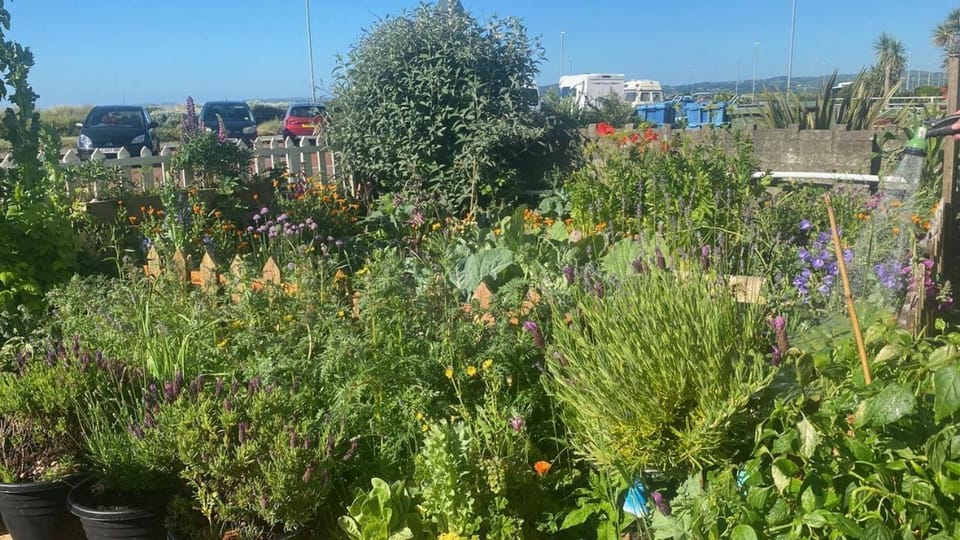 Garden, Garden view