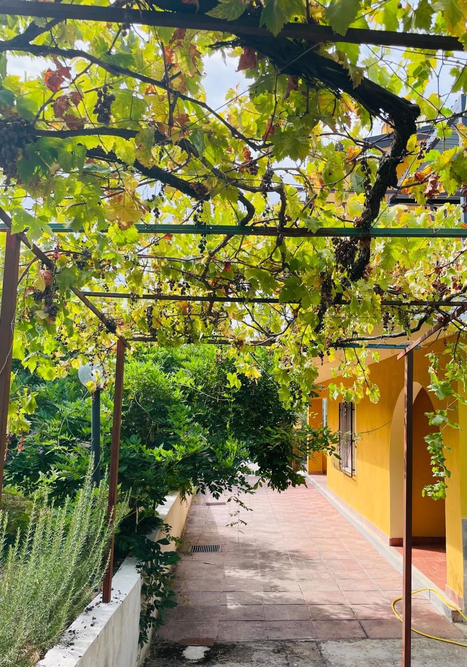 Radice Libera - Casa di campagna House in Campania