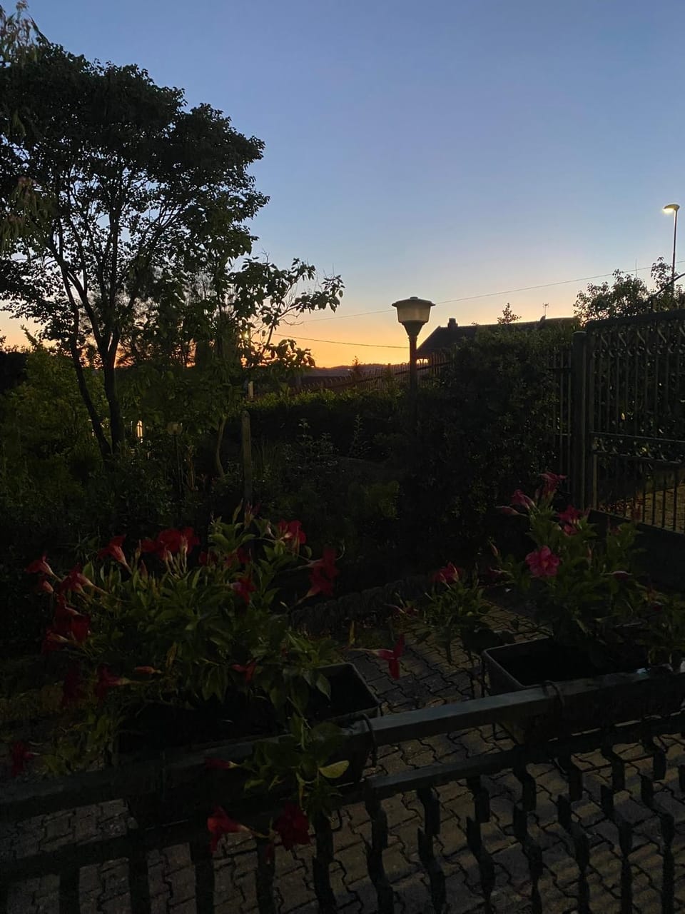 Patio, Garden, Sunset