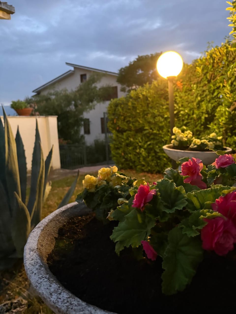 Garden view