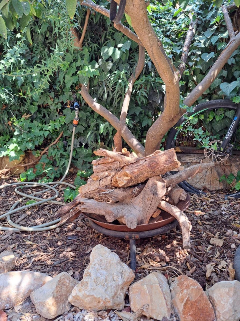 צימס - דירת אירוח עם גינה בגליל House in North District