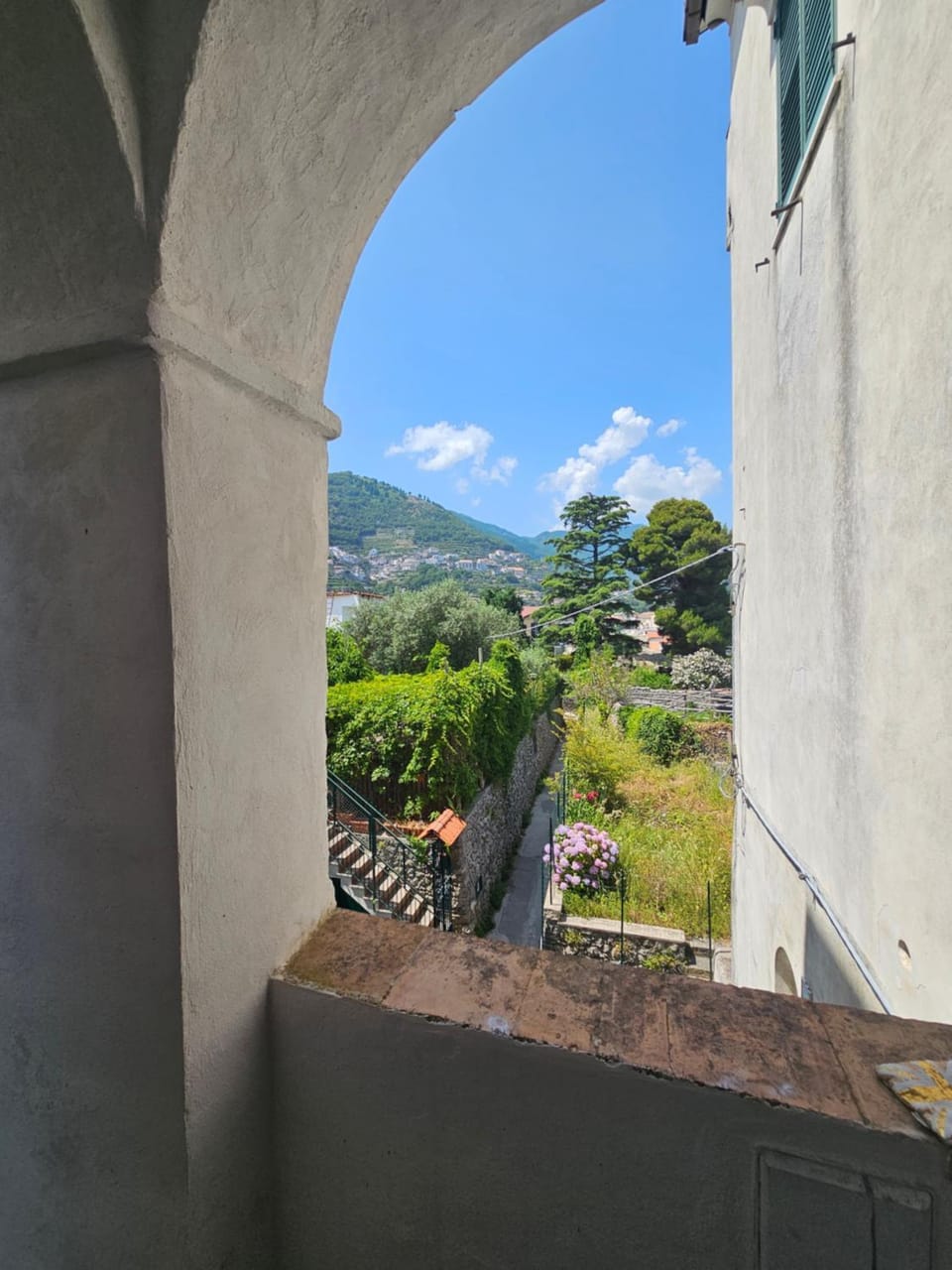Day, Garden, Garden view