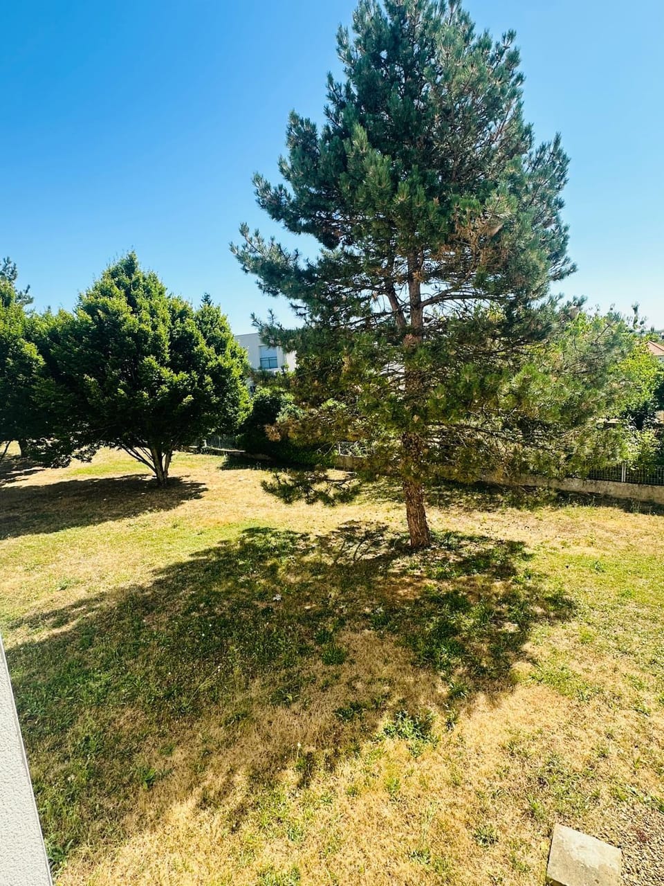 Lumineux & cosy studio Apartment in Poitiers