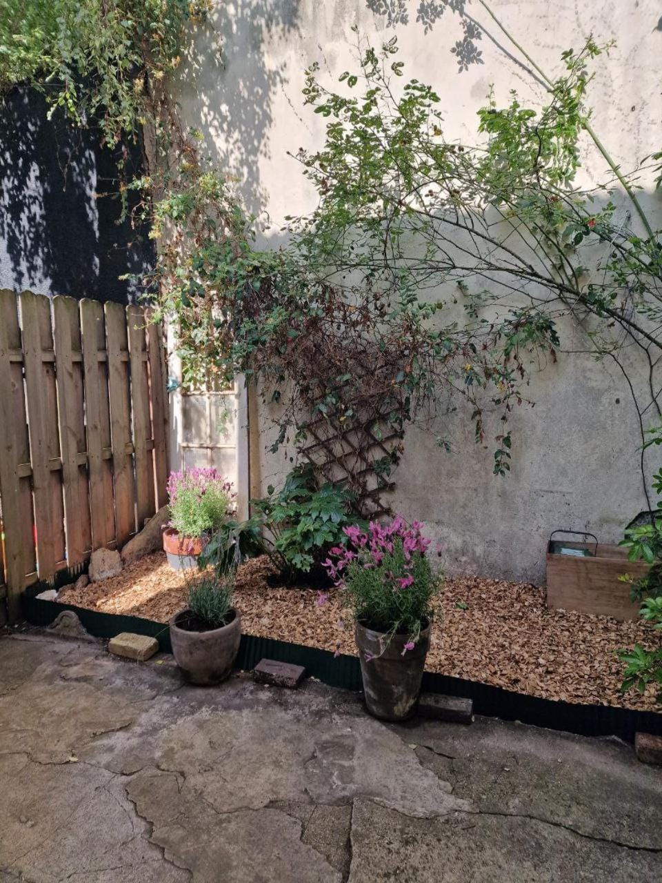 Garden, Garden view