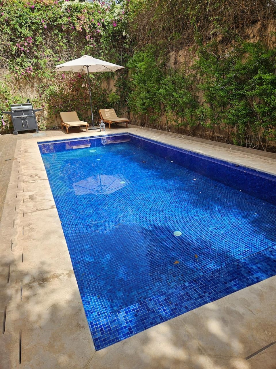 Day, Pool view, Swimming pool, sunbed