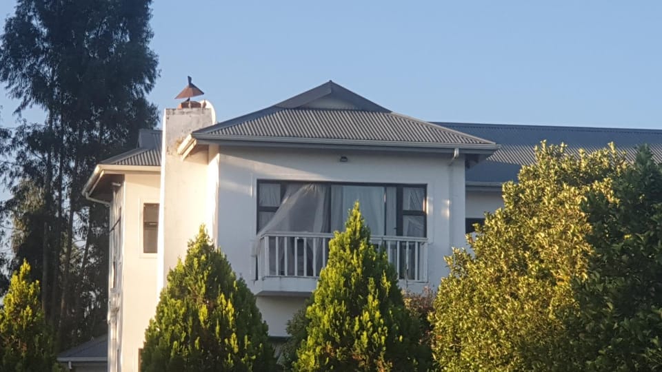 Mountain View Guest House in Underberg Bed and Breakfast in KwaZulu-Natal
