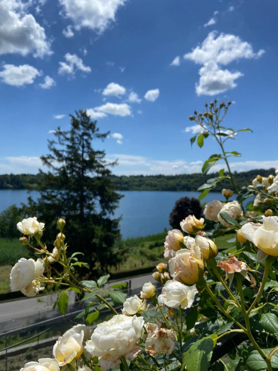 Lake view