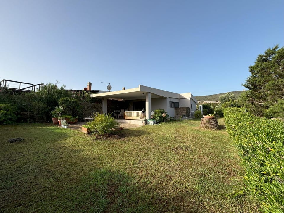 Patio, Garden, Garden view