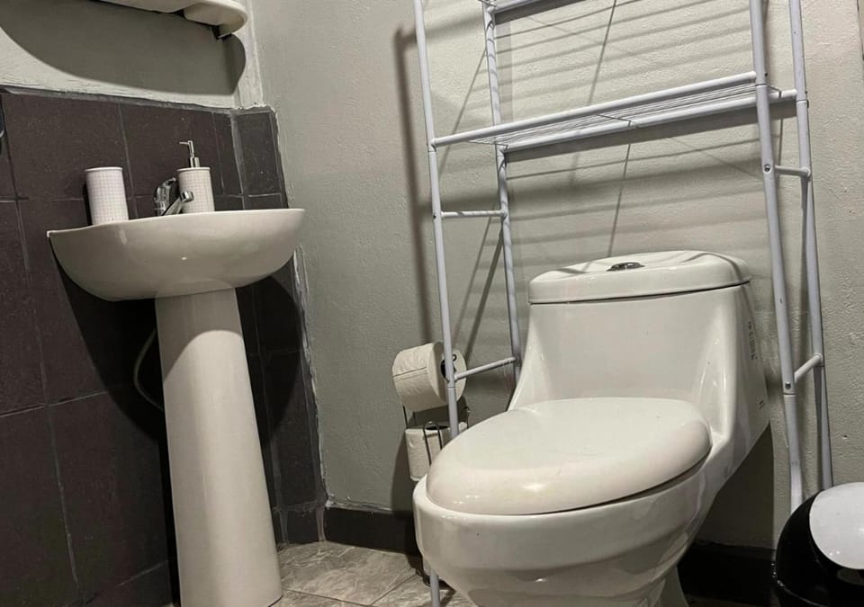 Bathroom, bidet, towels