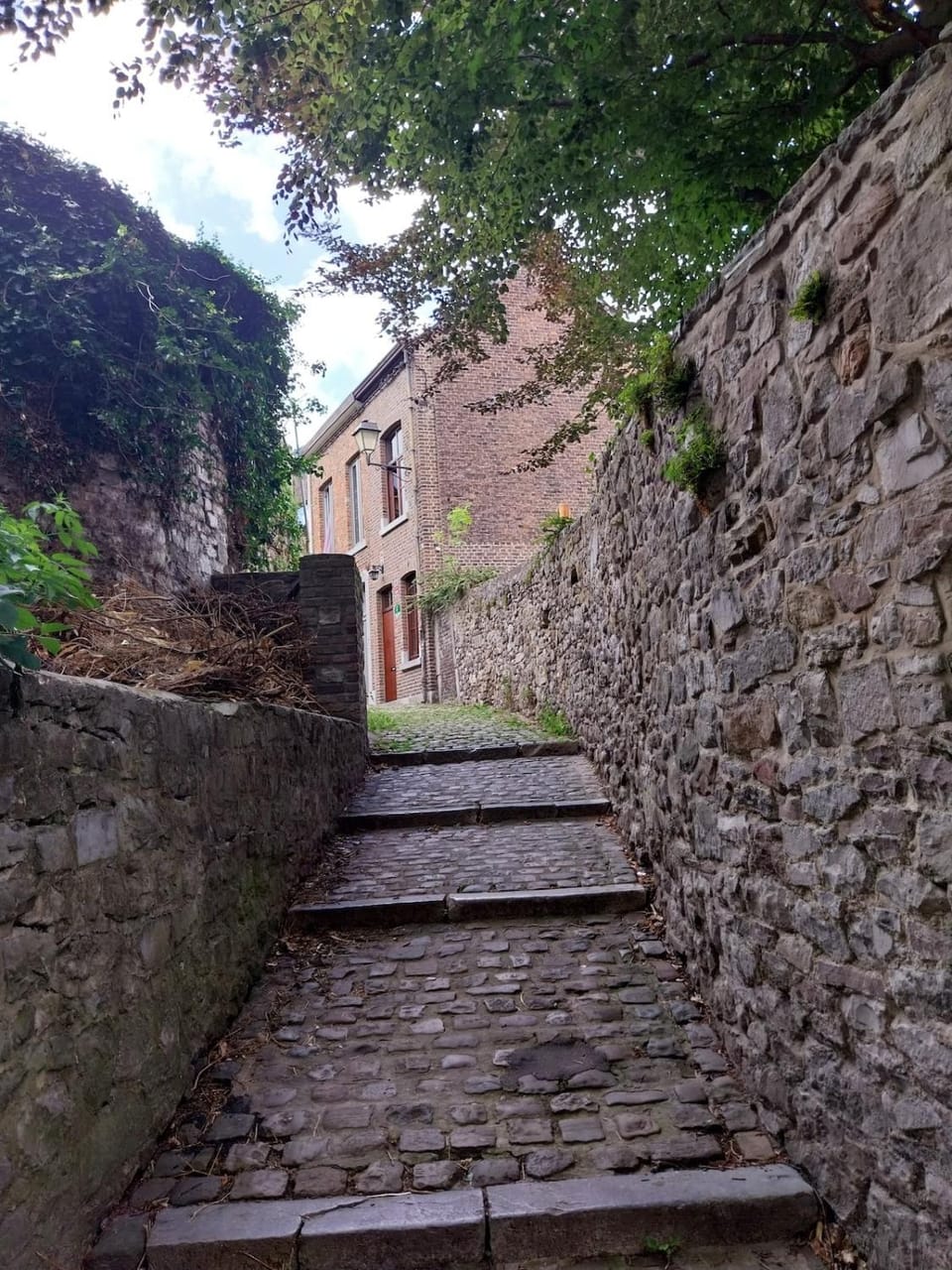 View (from property/room)