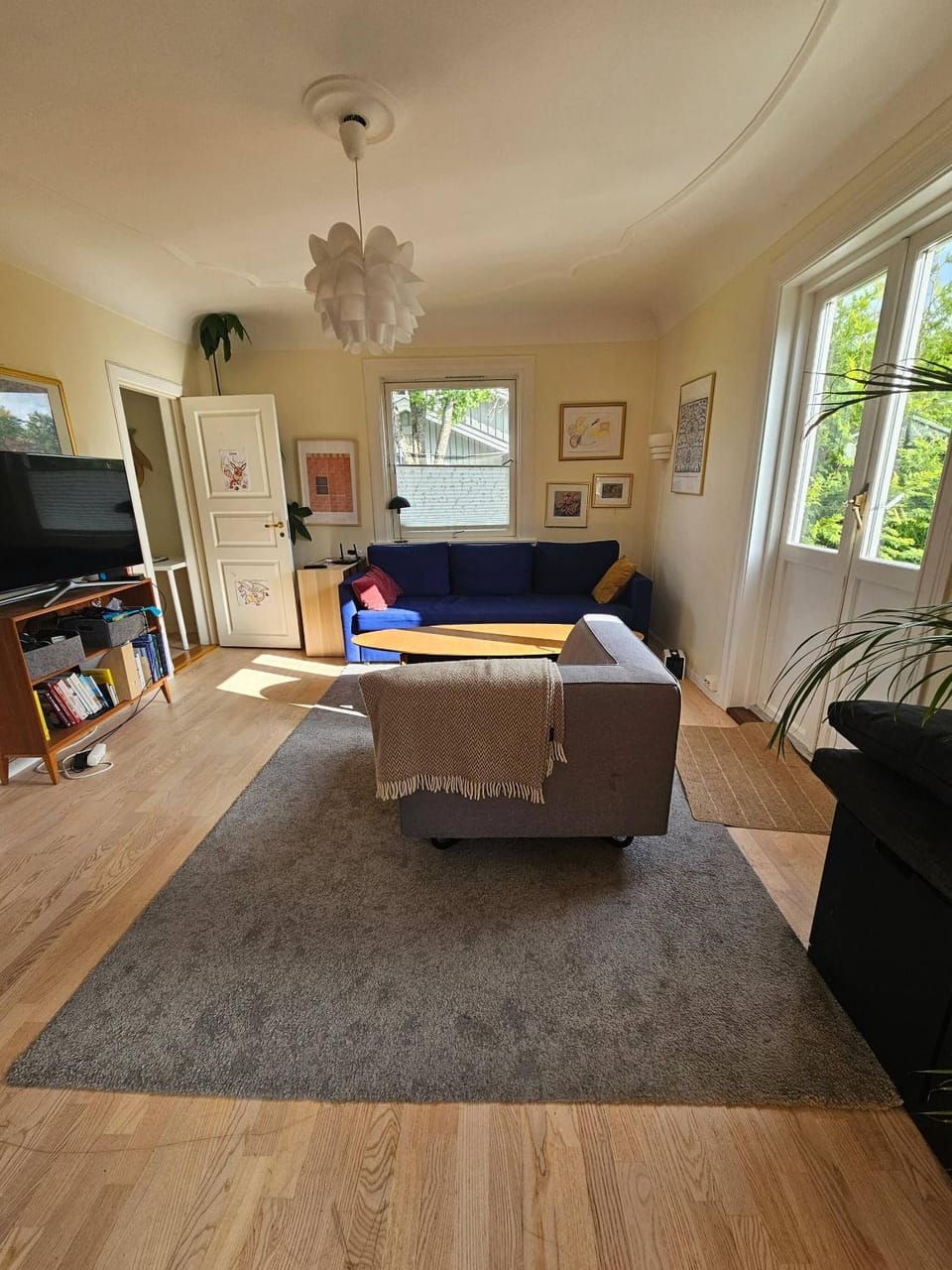 Communal lounge/ TV room, TV and multimedia, Living room, Decorative detail