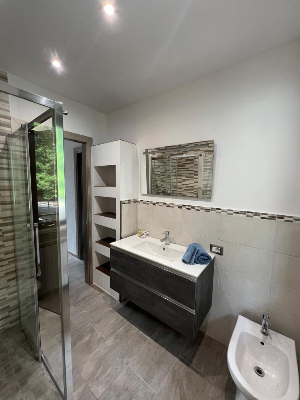 Shower, Toilet, Bathroom, towels