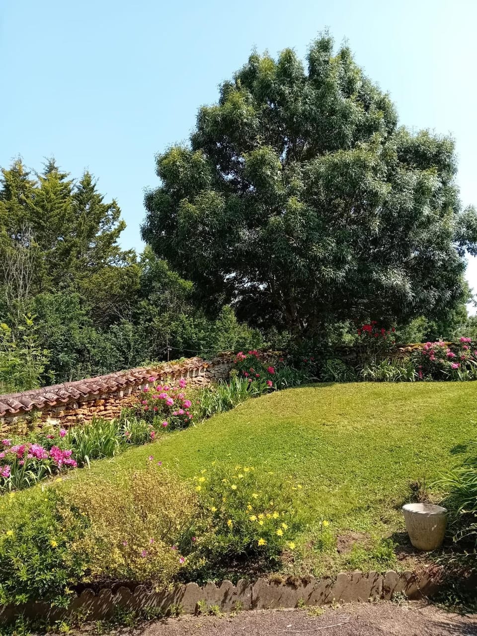 Garden, Garden view