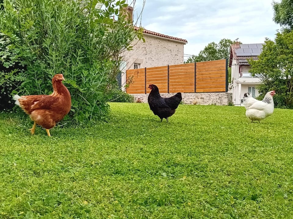 Garden, Animals