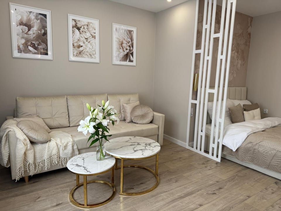 Bed, Living room, Photo of the whole room, Seating area, Bedroom