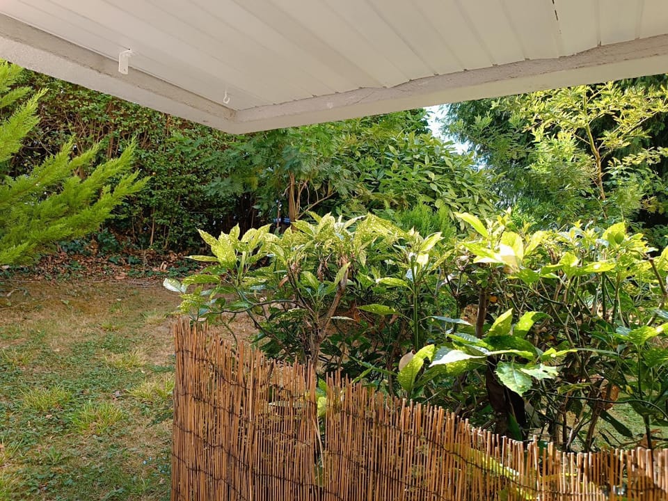 Day, Garden, Garden view