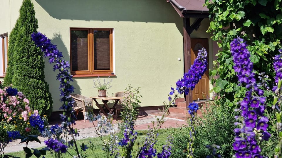 Property building, Garden, Seating area, Garden view