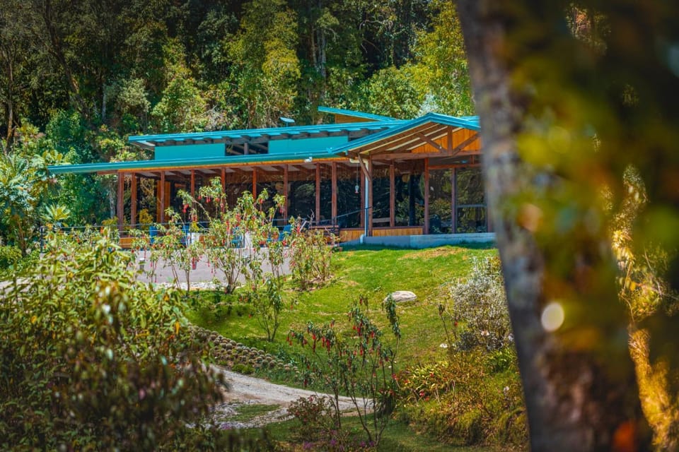 Property building, Garden view