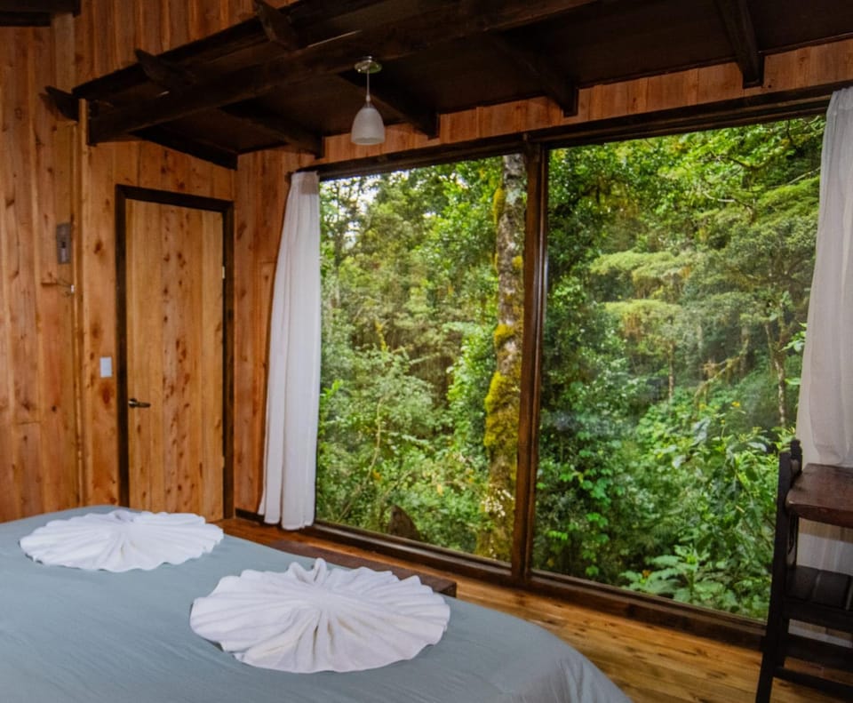 Bed, Natural landscape, Photo of the whole room, Bedroom