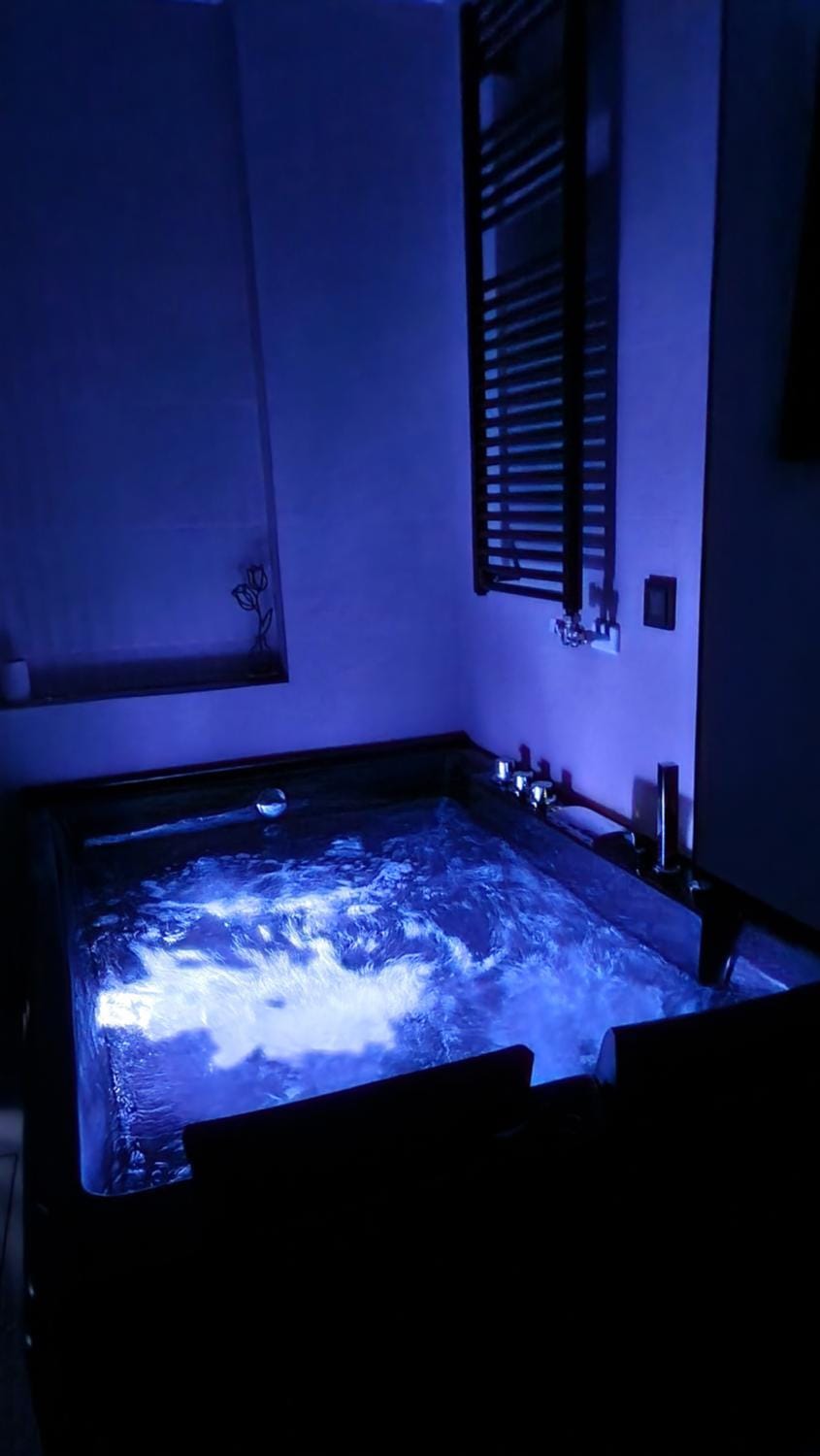 Las Campanas de la Catedral Suite Jacuzzi Apartment in Burgos