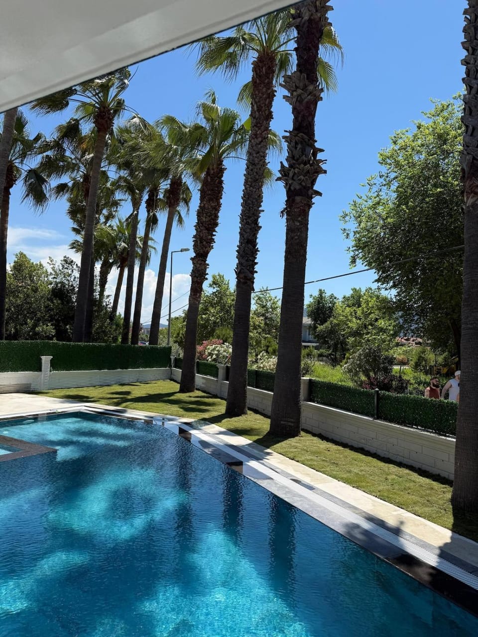 Day, Garden, Garden view, Pool view, Swimming pool, sunbed