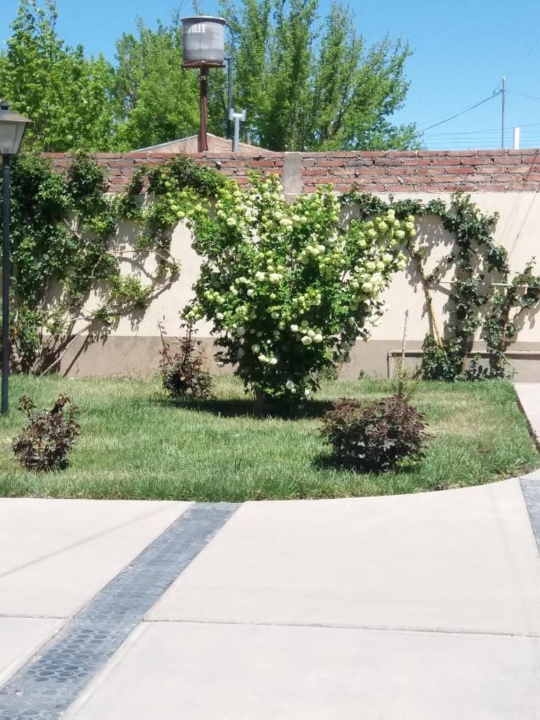 Property building, Patio, Garden, Garden view