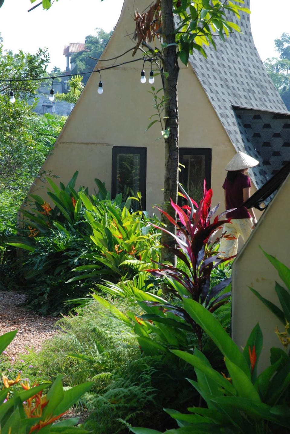 Warm Season Apartment in Laos