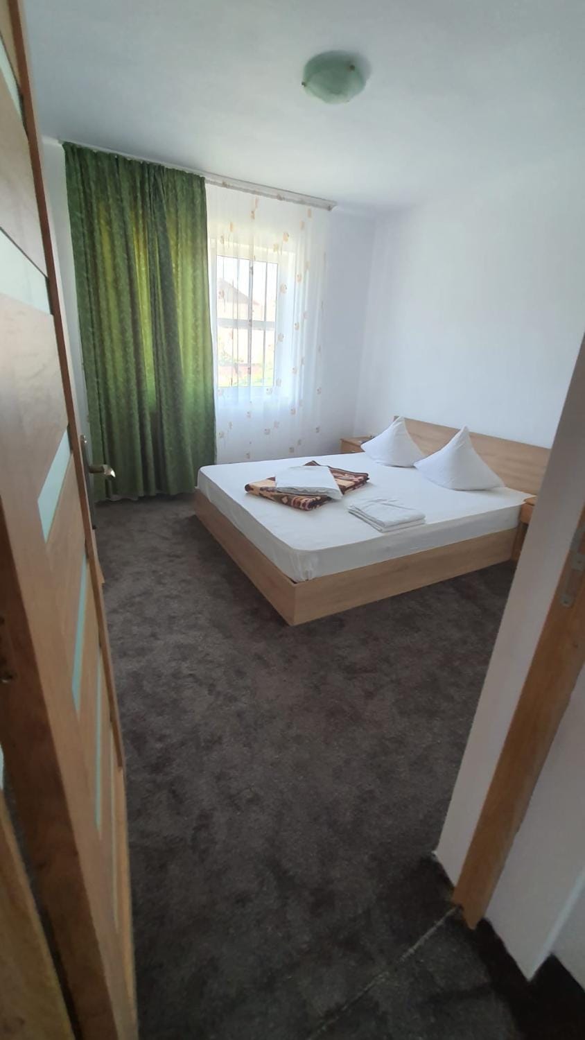 Vila Mariana Vacation rental in Constanța County