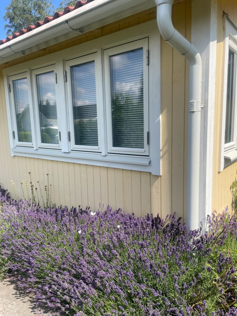 Charmig Villa bredvid sjön Örlen Villa in Västra Götaland County